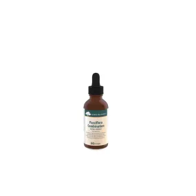 Genestra Brands Passiflora Combination 60ml