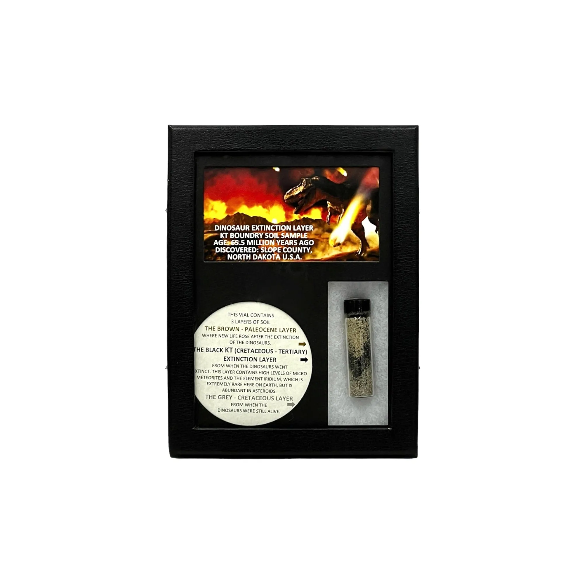 KT Layer Display