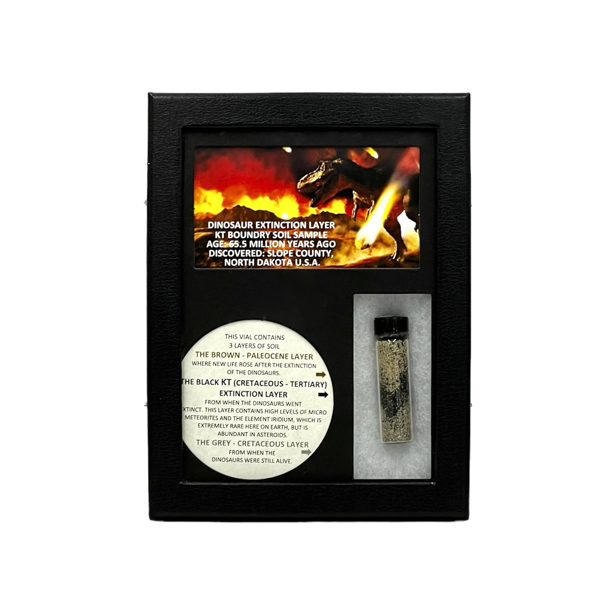KT Layer Display